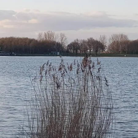 Vakantiewoning Maas En Waal 106 Ewijk